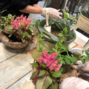 ﾜｰｸｼｮｯﾌﾟのご報告〈京都桂川店〉