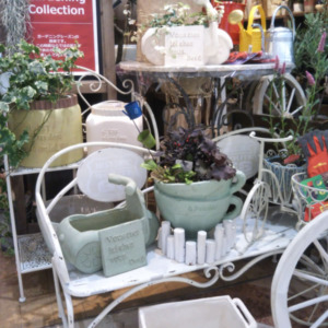 新作のグラスファイバー鉢が入荷☆〈なんば店〉