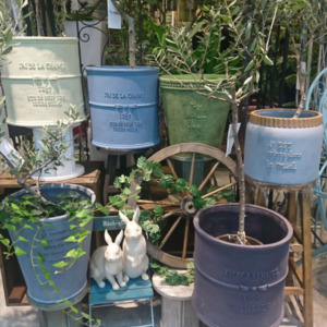 グラスファイバー鉢〈西宮店〉
