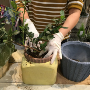 ﾜｰｸｼｮｯﾌﾟのご報告〈京都桂川店〉