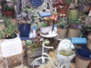 クリスマスに向けた寄せ植え☆〈なんば店〉