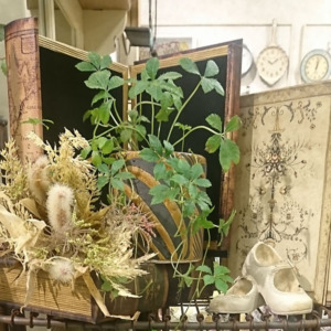 BOOK BOX〈西宮店〉