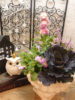 【12月ﾜｰｸｼｮｯﾌﾟ】葉ぼたんの寄せ植え〈西宮店〉