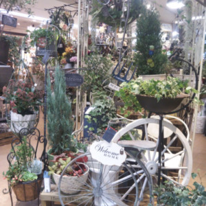 年末年始の模様替え〈なんば店〉