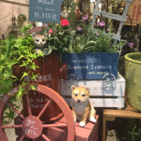お庭のアクセントに☆車輪〈西宮店〉