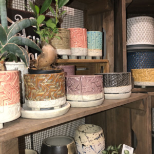 オシャレな小鉢が入荷しました〈京都桂川店〉