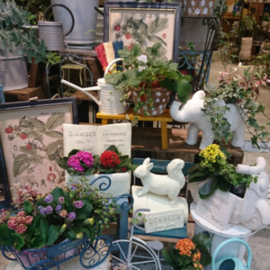 いちご・植物・雑貨〈西宮店〉
