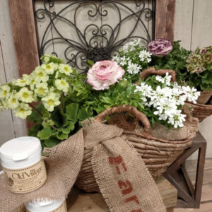 【3月ﾜｰｸｼｮｯﾌﾟ】オトナ可愛い春の寄せ植え〈なんば店〉