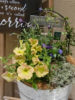 【4月ﾜｰｸｼｮｯﾌﾟ】spring コンテナガーデン〈京都桂川店〉
