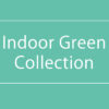 【NEWS】IndoorGreenCollection〈直営店共通〉