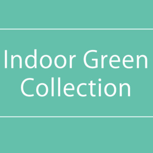 【NEWS】IndoorGreenCollection〈直営店共通〉