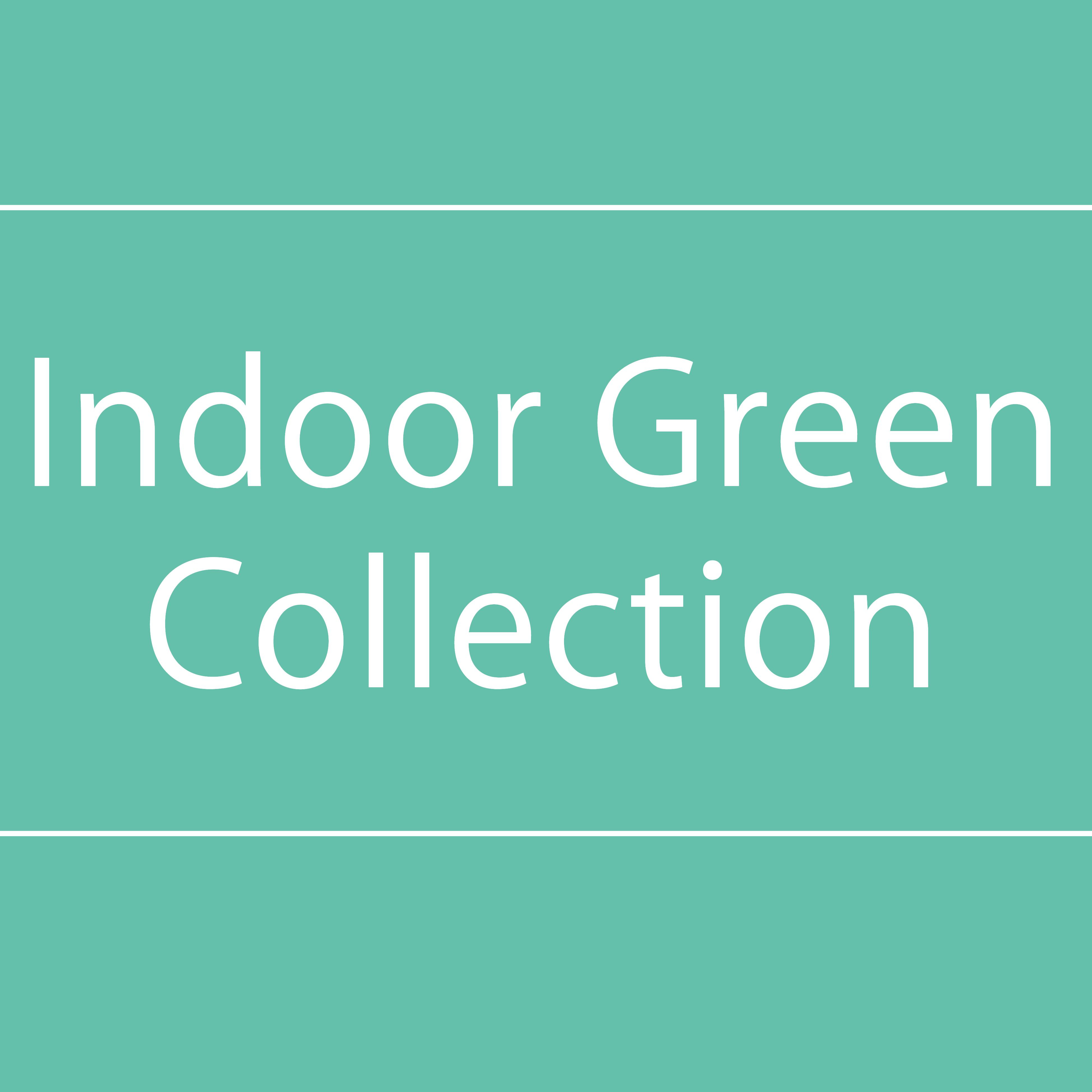 【NEWS】IndoorGreenCollection〈直営店共通〉