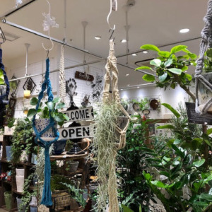 男前アイテム入荷〈梅田店〉