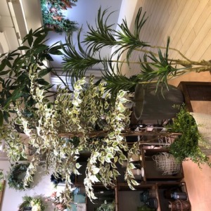 大型フェイクグリーン〈梅田店〉