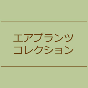 【NEWS】エアプランツ コレクション〈直営店共通〉