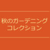 【NEWS】秋のガーデニングコレクション〈直営店共通〉