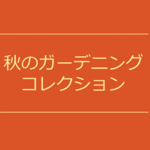 【NEWS】秋のガーデニングコレクション〈直営店共通〉