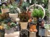 秋色雑貨と植物〈梅田店〉