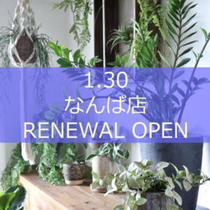 【NEWS】なんば店 1.30 移転RENEWAL OPEN