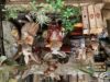 うさぎシリーズ〈なんば店〉