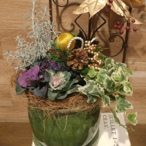 【数量限定】お正月の寄せ植え販売〈京都桂川店〉