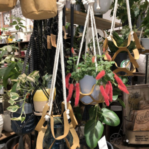 ハンギングで空間を活かそう！〈京都桂川店〉