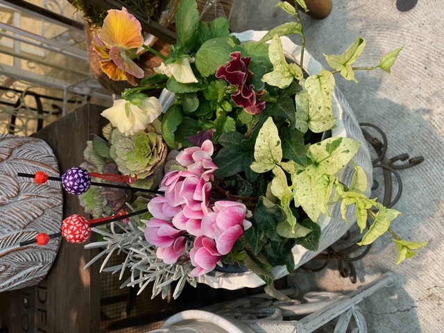 新年の贈り物 sweetbasket 葉牡丹とシクラメン 売り切れました 寄せ植え 季節のお花 植物/観葉植物