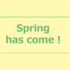 【NEWS】Spring has come!〈直営店共通〉