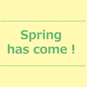 【NEWS】Spring has come!〈直営店共通〉