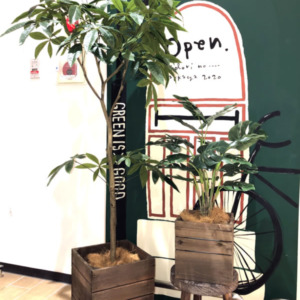 大型フェイクグリーン〈京都桂川店〉