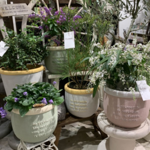 カラフルな植木鉢〈京都桂川店〉