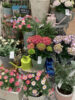 旬のお花たち〈なんば店〉