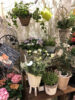 色とりどりのお花〈梅田店〉