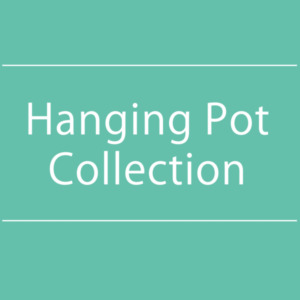 【NEWS】Hanging Pot Collection〈西宮店・京都桂川店〉