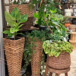 ロープデザインのプランターカバー〈京都桂川店〉