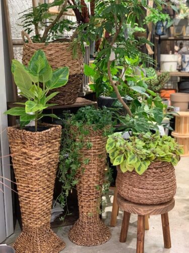 ロープデザインのプランターカバー〈京都桂川店〉