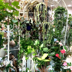 ホワイトガーデンエクステリア〈西宮店〉