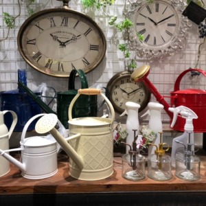 秋のガーデニングアイテム〈梅田店〉