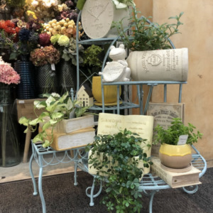 ブルーの花台を使ったディスプレイ〈西宮店〉