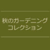 【NEWS】秋のガーデニングコレクション〈直営店共通〉