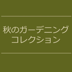 【NEWS】秋のガーデニングコレクション〈直営店共通〉
