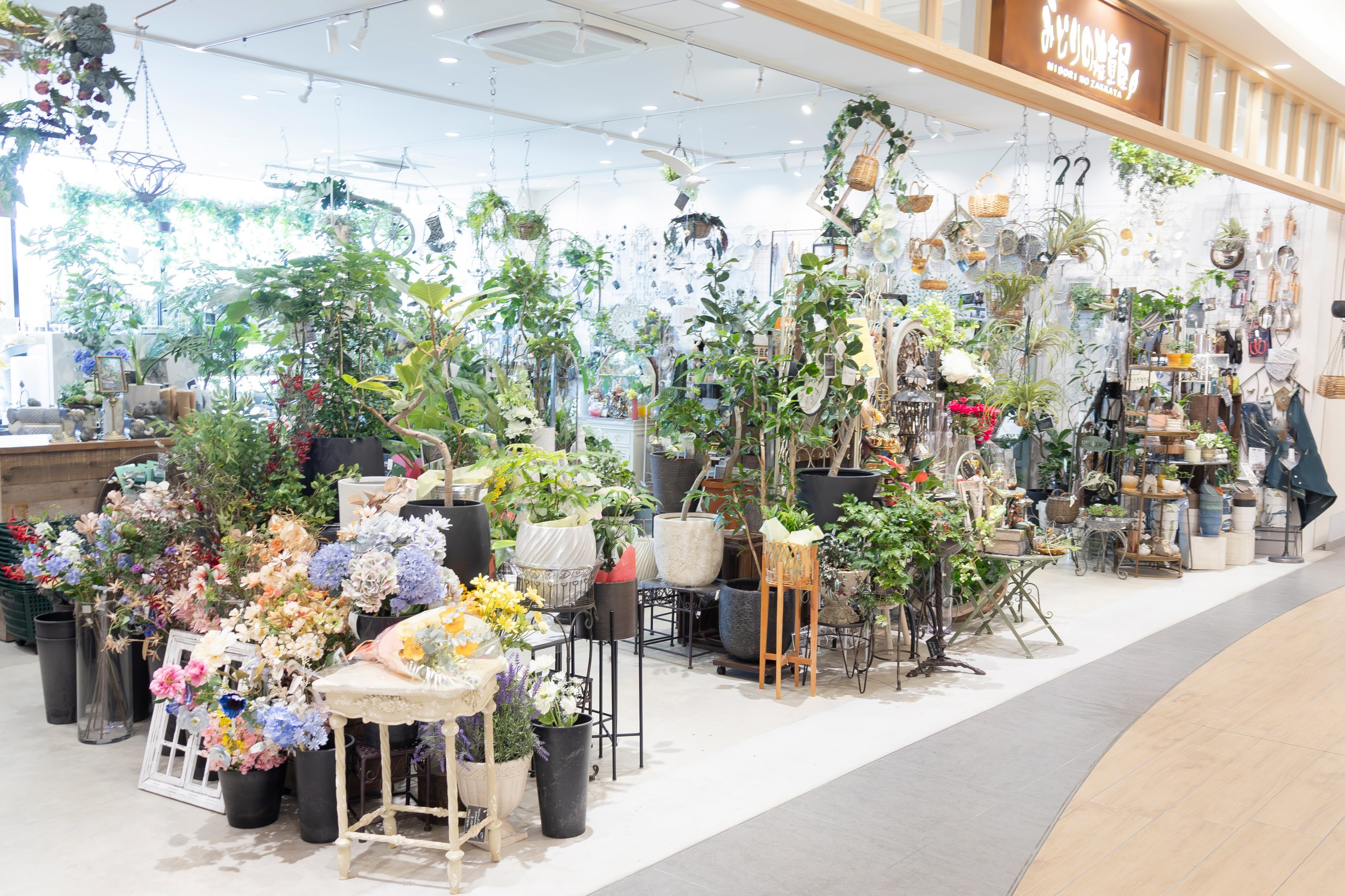 みどりの雑貨屋
みのお店＋アウトレット