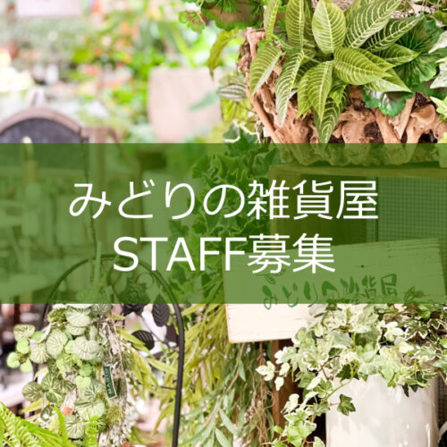 【STAFF募集】若干名のスタッフを募集します☆〈西宮店･梅田店〉